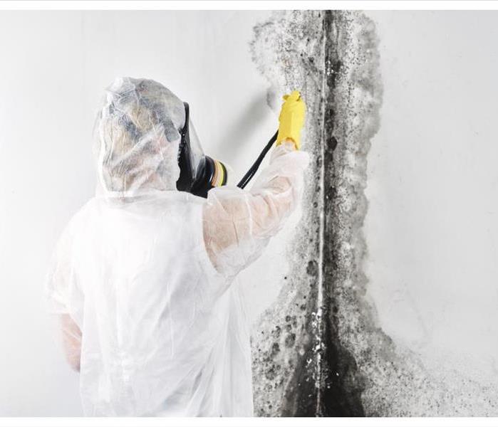 A professional disinfector in overalls processes the walls from mold.