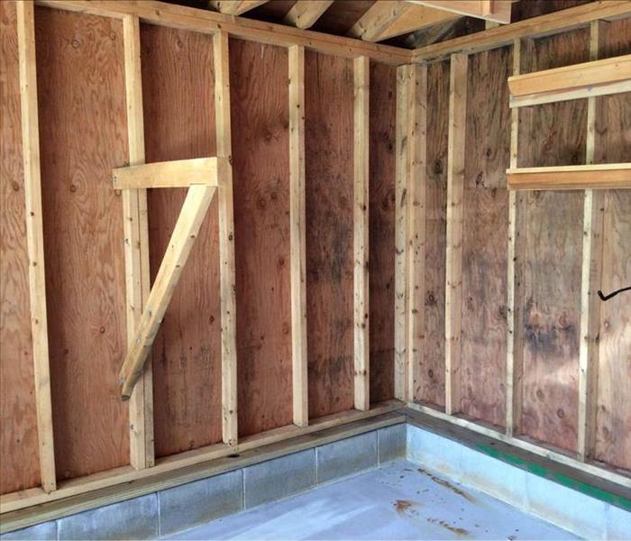 Mold damage.